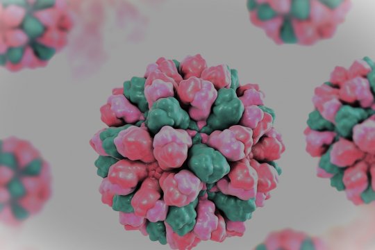 Norovirus